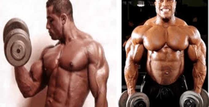 Muscle Builder Reviews: Benefits to Bodybuilding, Products and Stack Reviews