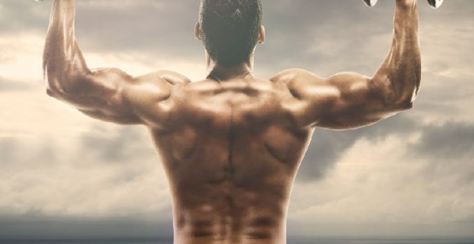 Back and Tricep Exercises: A Short Workout Guide for Lean Guys