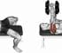 Flat Dumbbell Press