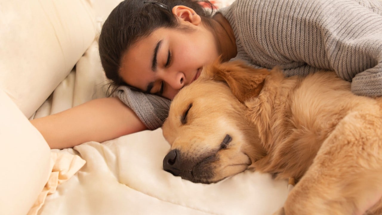 A dog owner sleeping on bed with her adorable pet dog