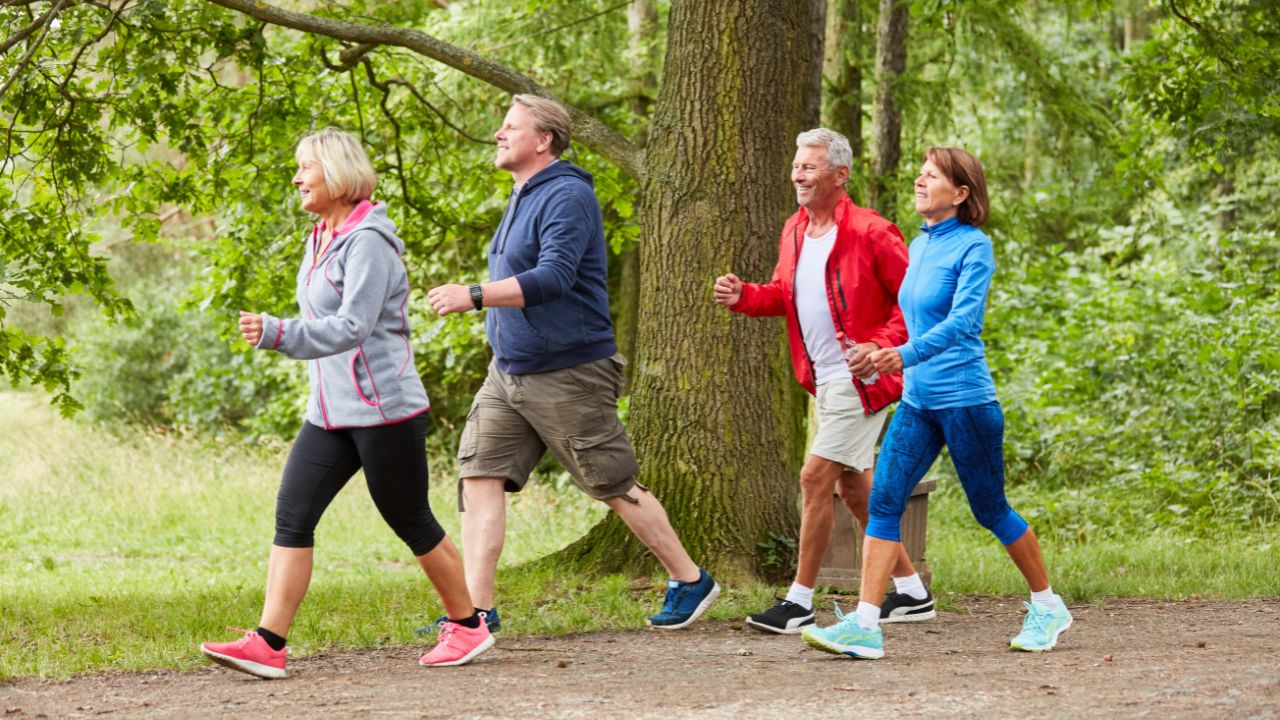 A group of people walking together on a forest path, dressed in casual activewear, enjoying a brisk walk in nature, promoting physical activity and social connection.