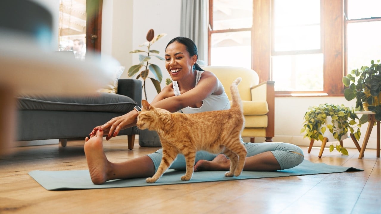 Cat, fitness or happy woman in yoga stretching legs for body flexibility, wellness or healthy lifestyle. Kitten, pet animal or zen girl in exercise, workout or training warm up in house exercising