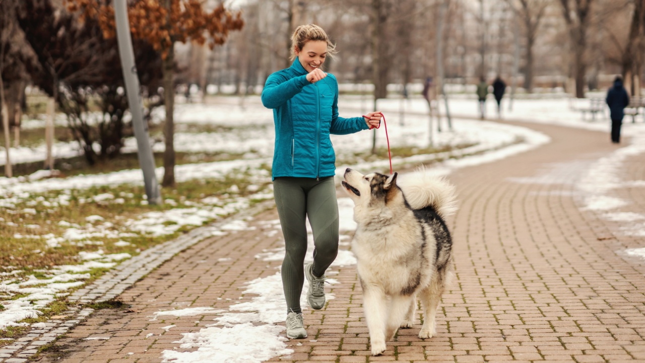 Woman playing with her dog while walking in park on snowy winter day. Pets, snow, friendship, weekend activities