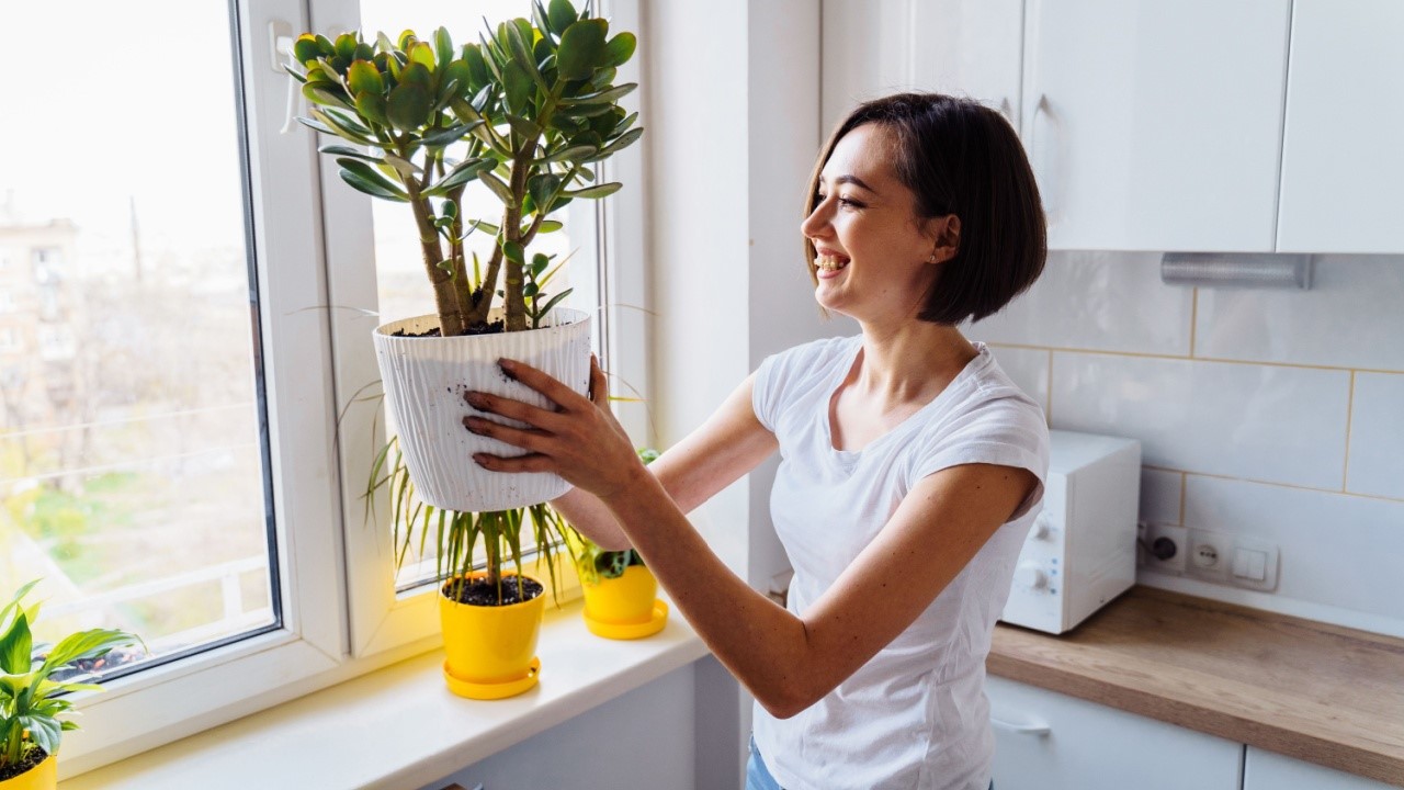 woman in kitchen with plants